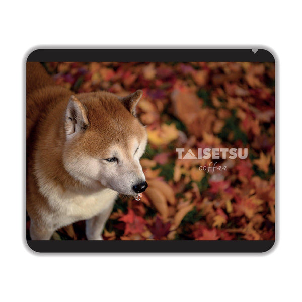 Tono-gimi - Autumn (035)